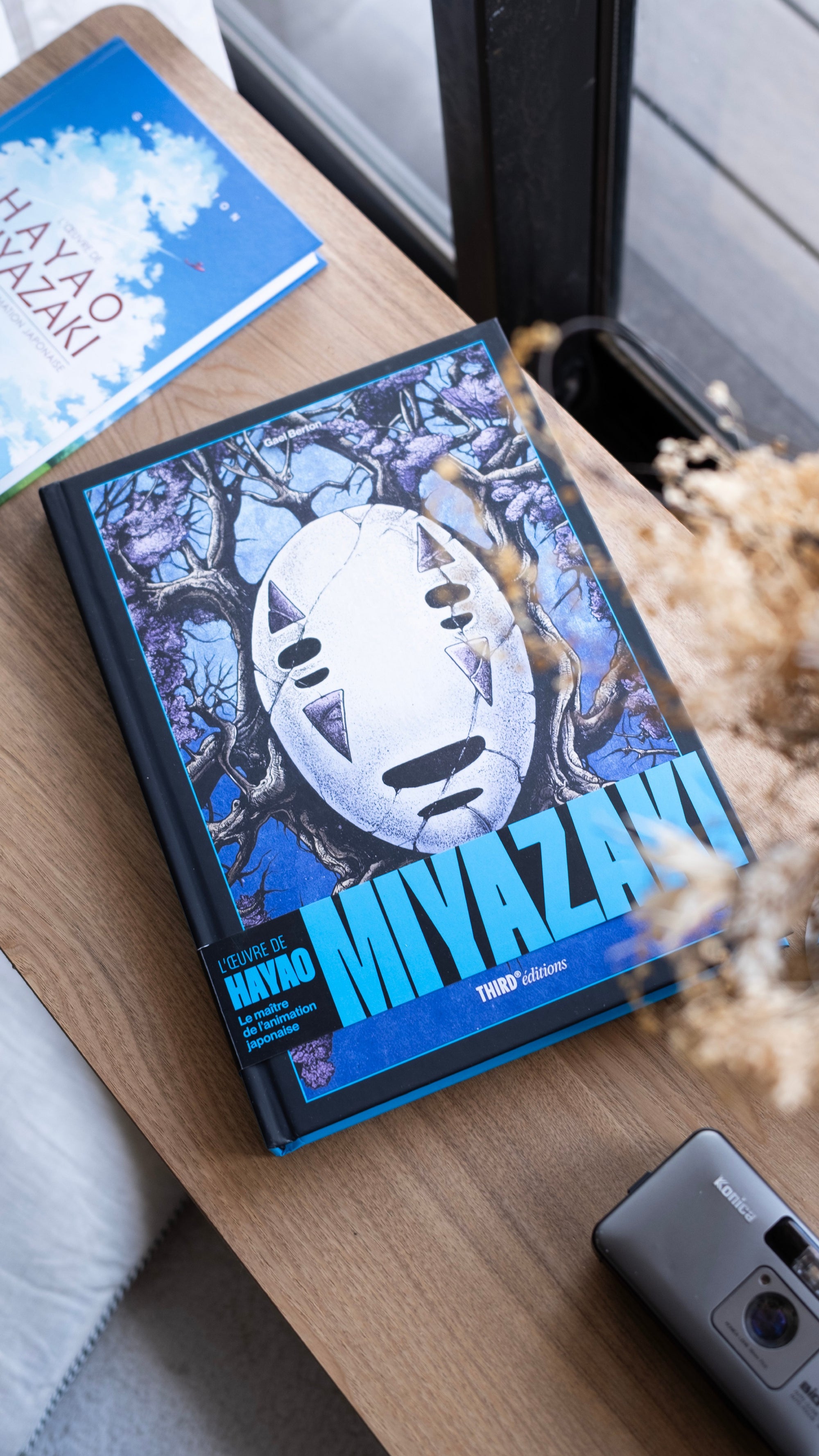 L'Œuvre de Hayao Miyazaki. Le maître de l'animation japonaise - Édition 10ème anniversaire