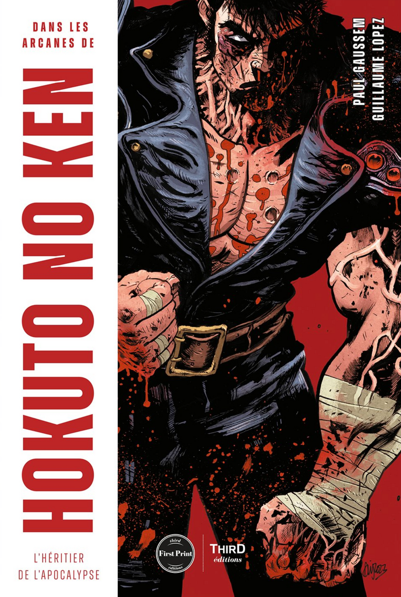 Dans les arcanes de Hokuto no Ken. L'héritier de l'apocalypse