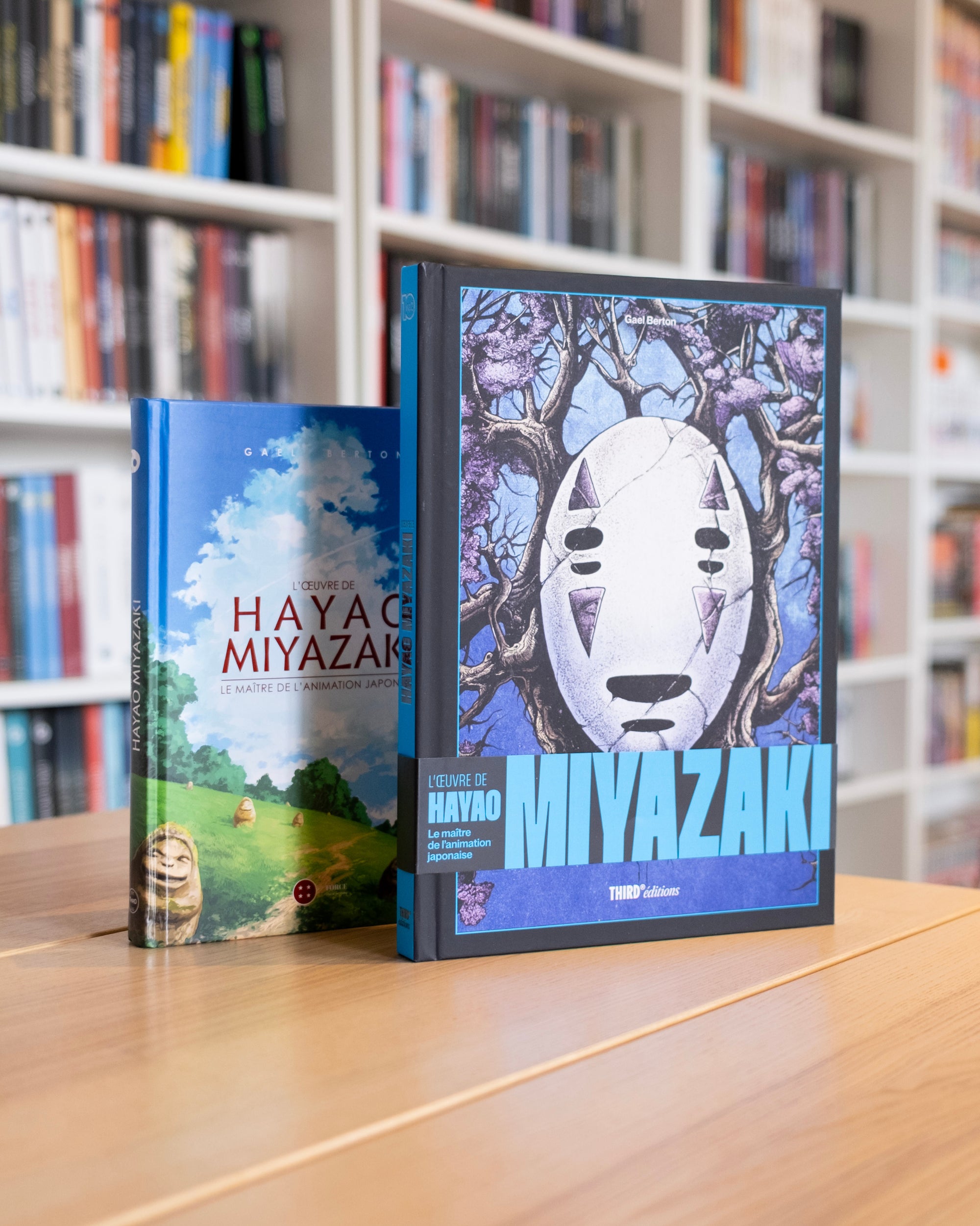 L'Œuvre de Hayao Miyazaki. Le maître de l'animation japonaise - Édition 10ème anniversaire