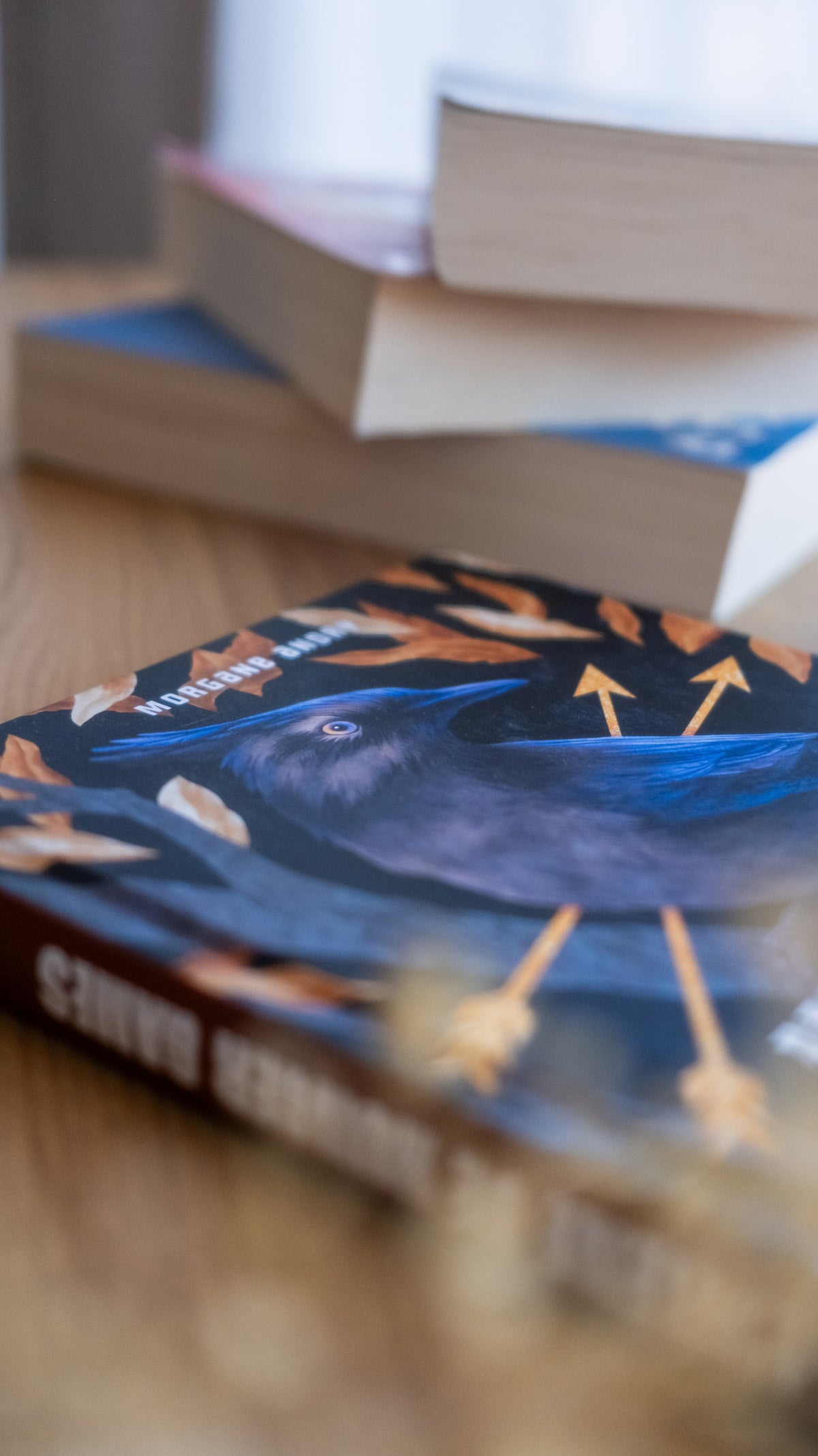 Dans l'arène de Hunger Games. De la survie à la révolte