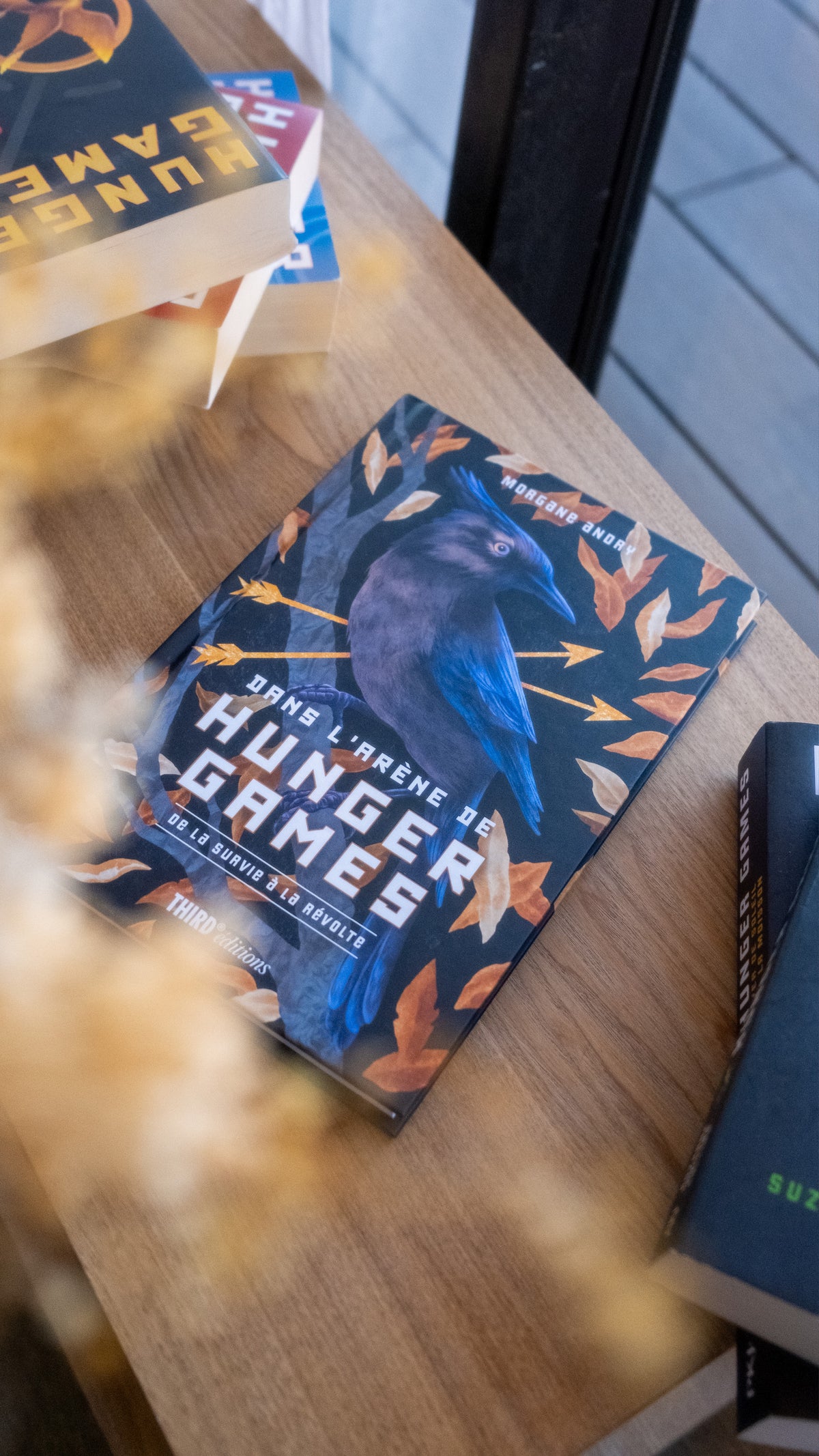 Dans l'arène de Hunger Games. De la survie à la révolte