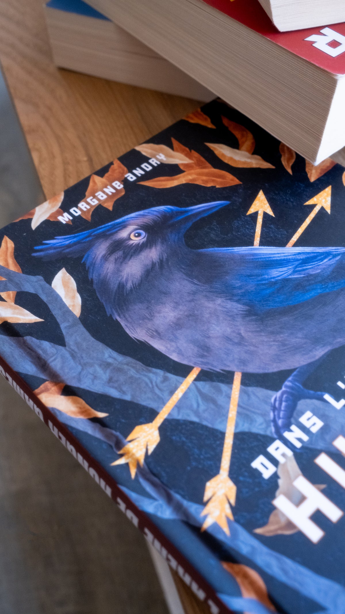 Dans l'arène de Hunger Games. De la survie à la révolte